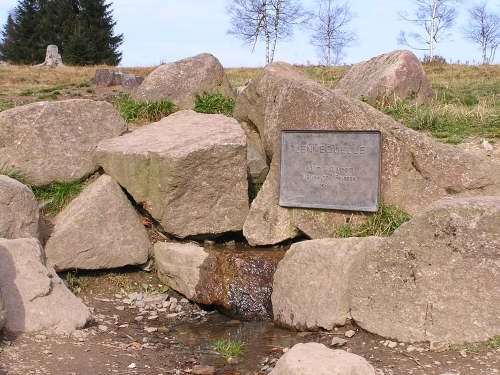 Die Lennequelle am Rande der Heidefläche am Kahlen Asten. Die Quelle entspringt deutlich über 800 m.